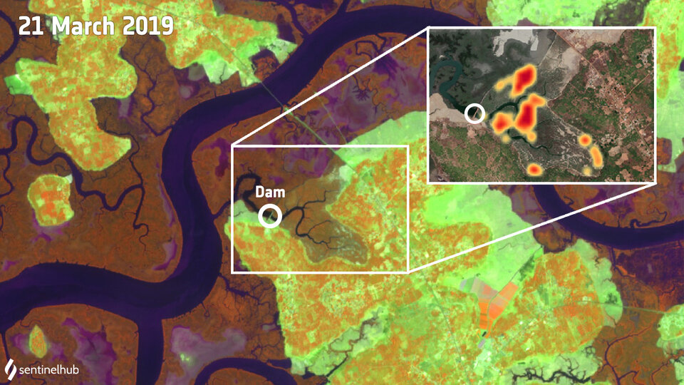 Detected changes in the mangrove in Guinea-Bissau (inset: Global Mangrove Watch) overlaid on aerial photograph (Google Maps, 2019).