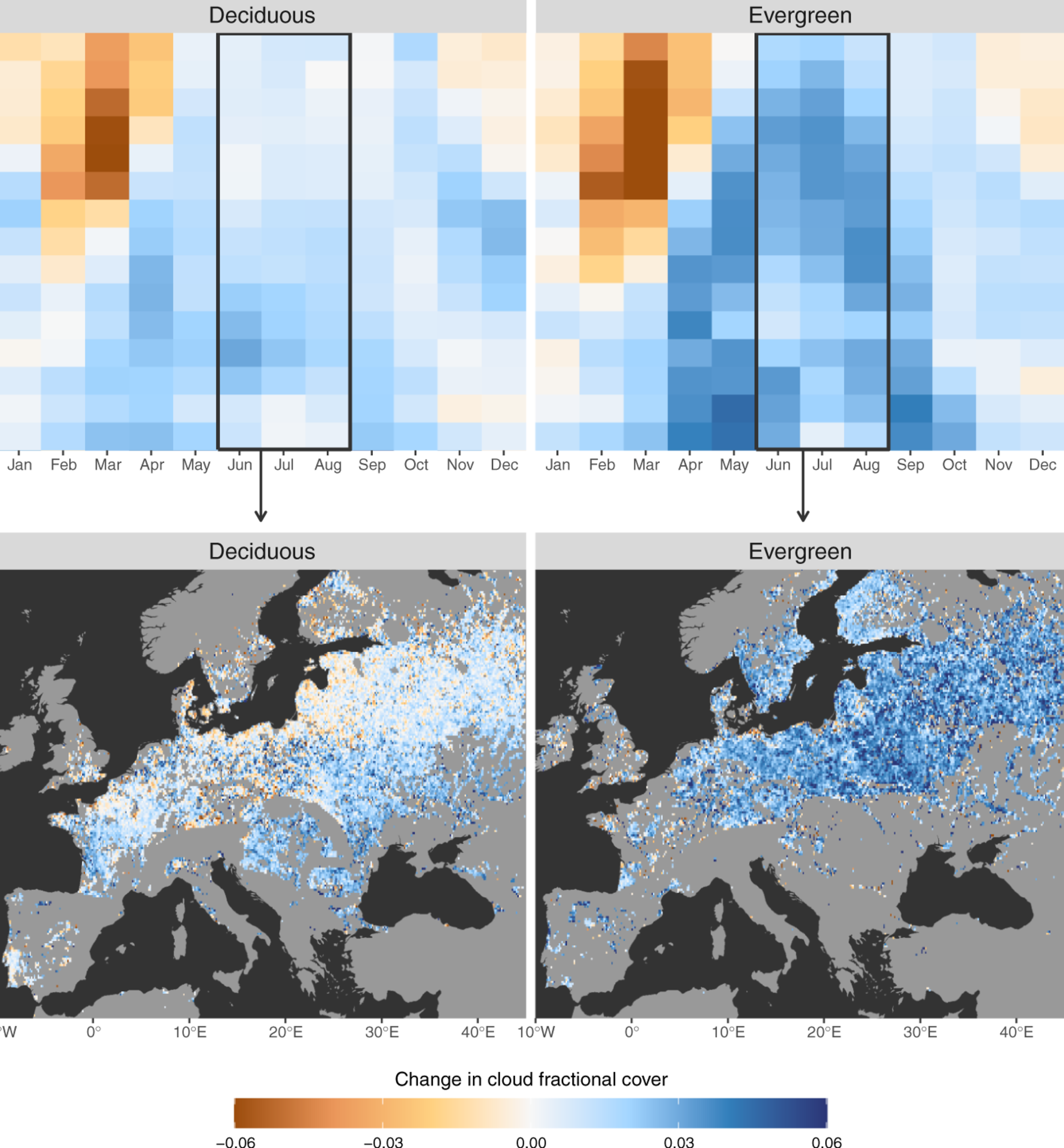 The effect of afforestation on cloud cover