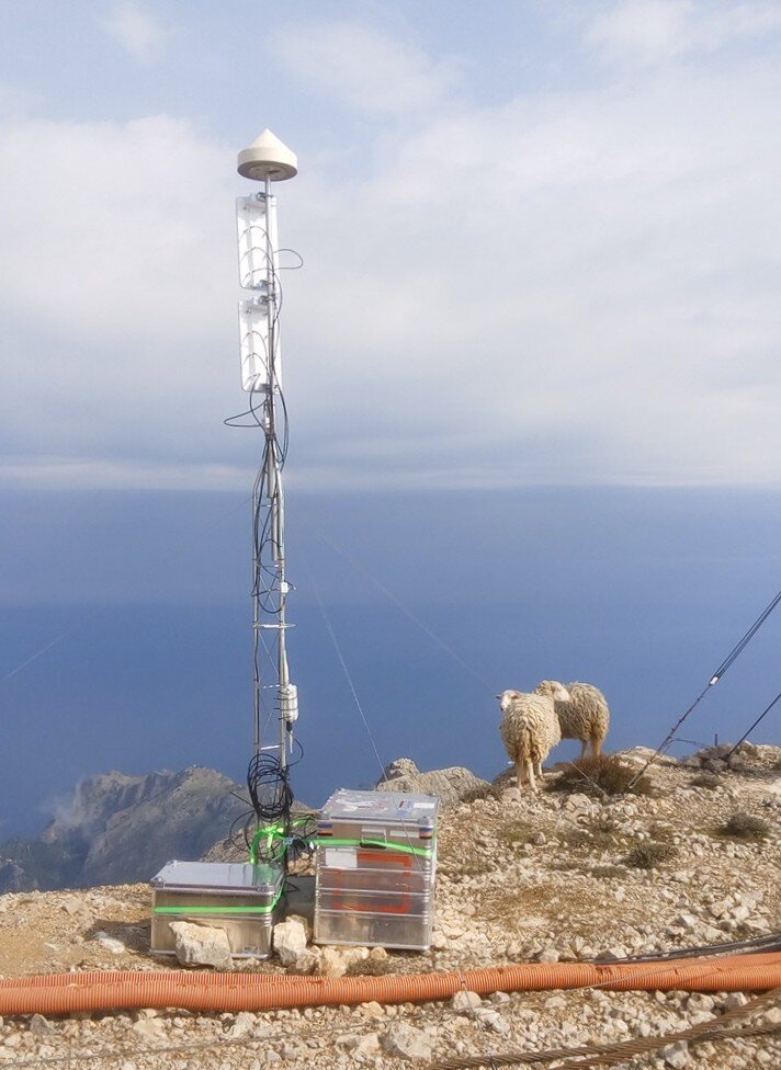 Satnav receiver with sheep