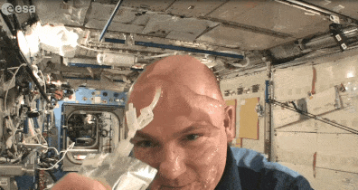 Astronaut André Kuipers