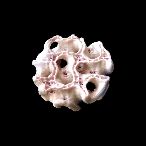 3D-printed bone