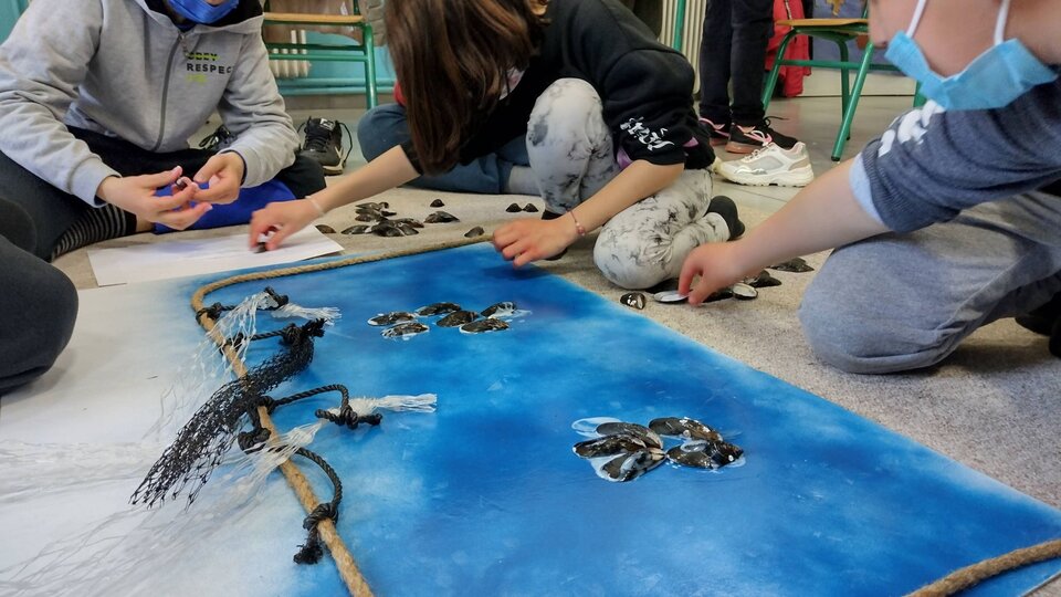 Working together on a “mussel farm"