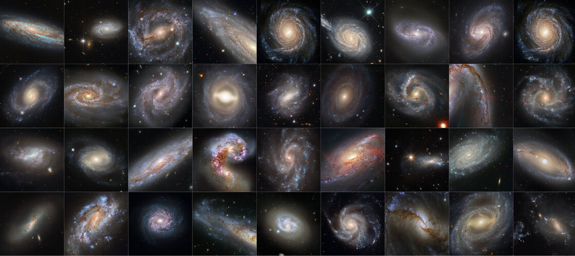 A dazzling Hubble collection of supernova host galaxies