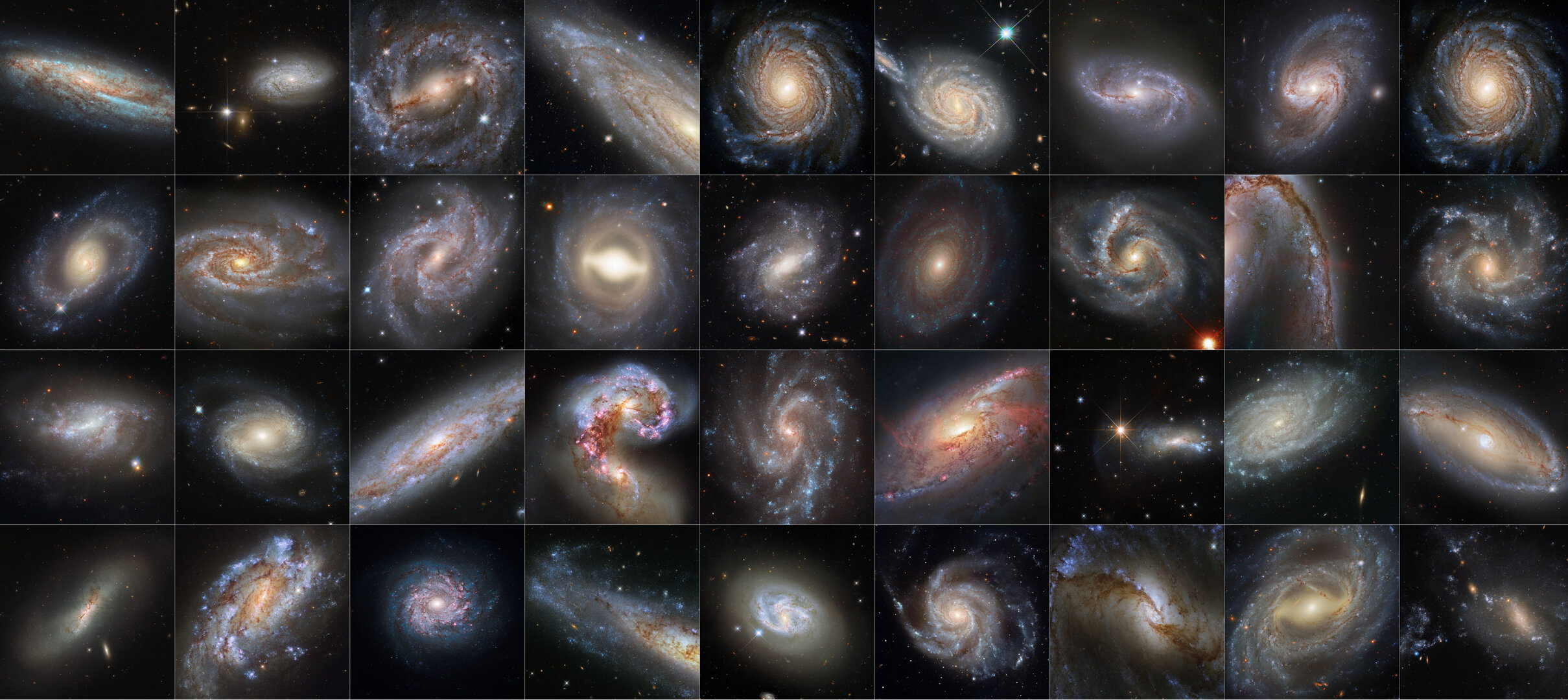 A dazzling Hubble collection of supernova host galaxies