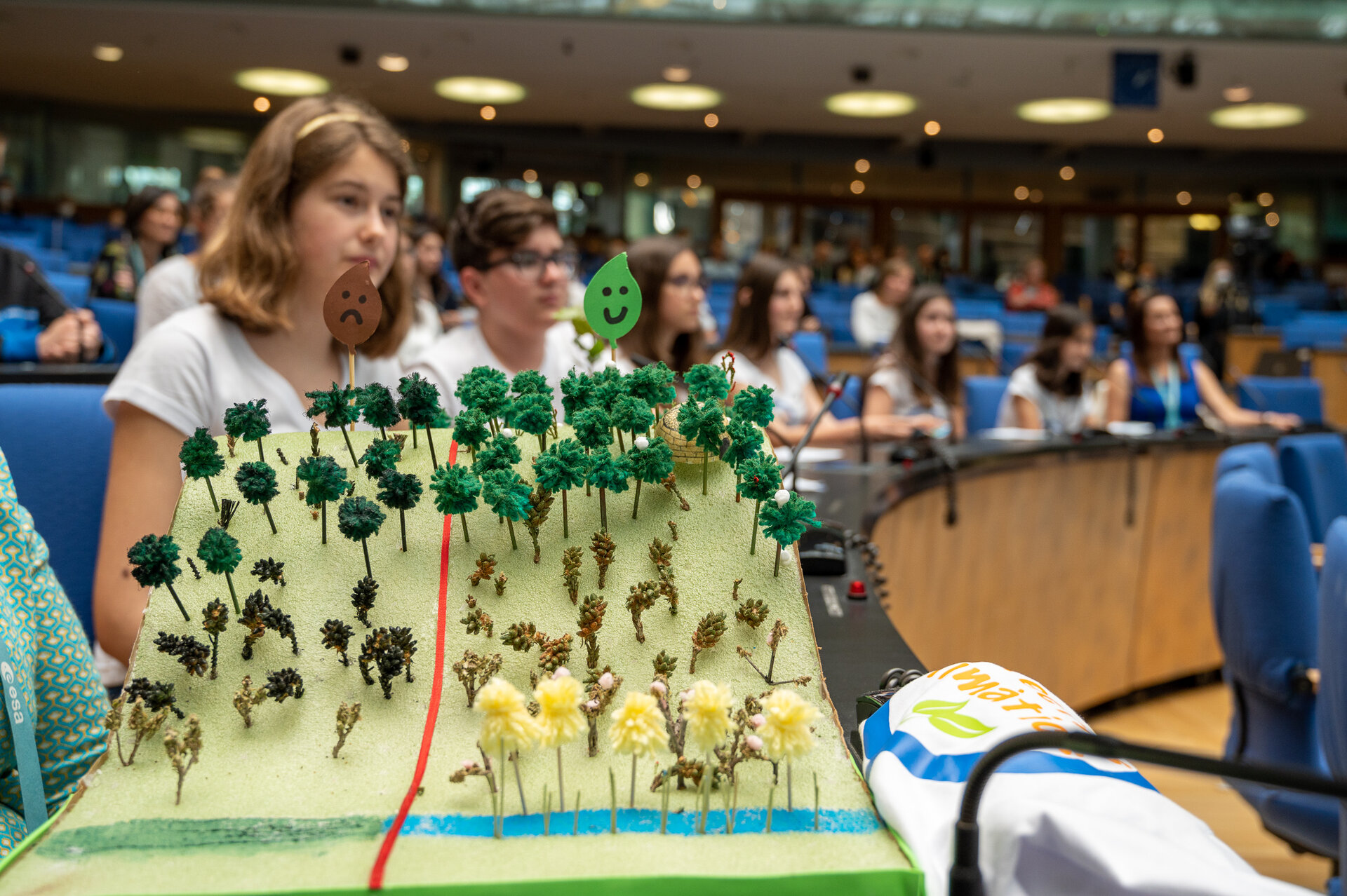 Climate Detectives School Award