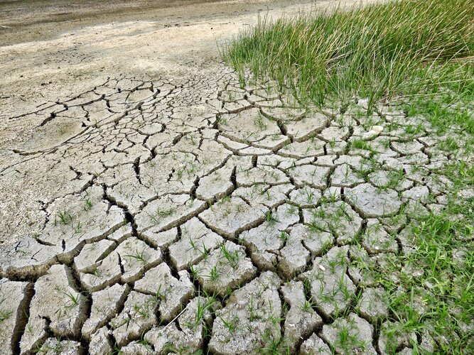 Effects of a warming climate