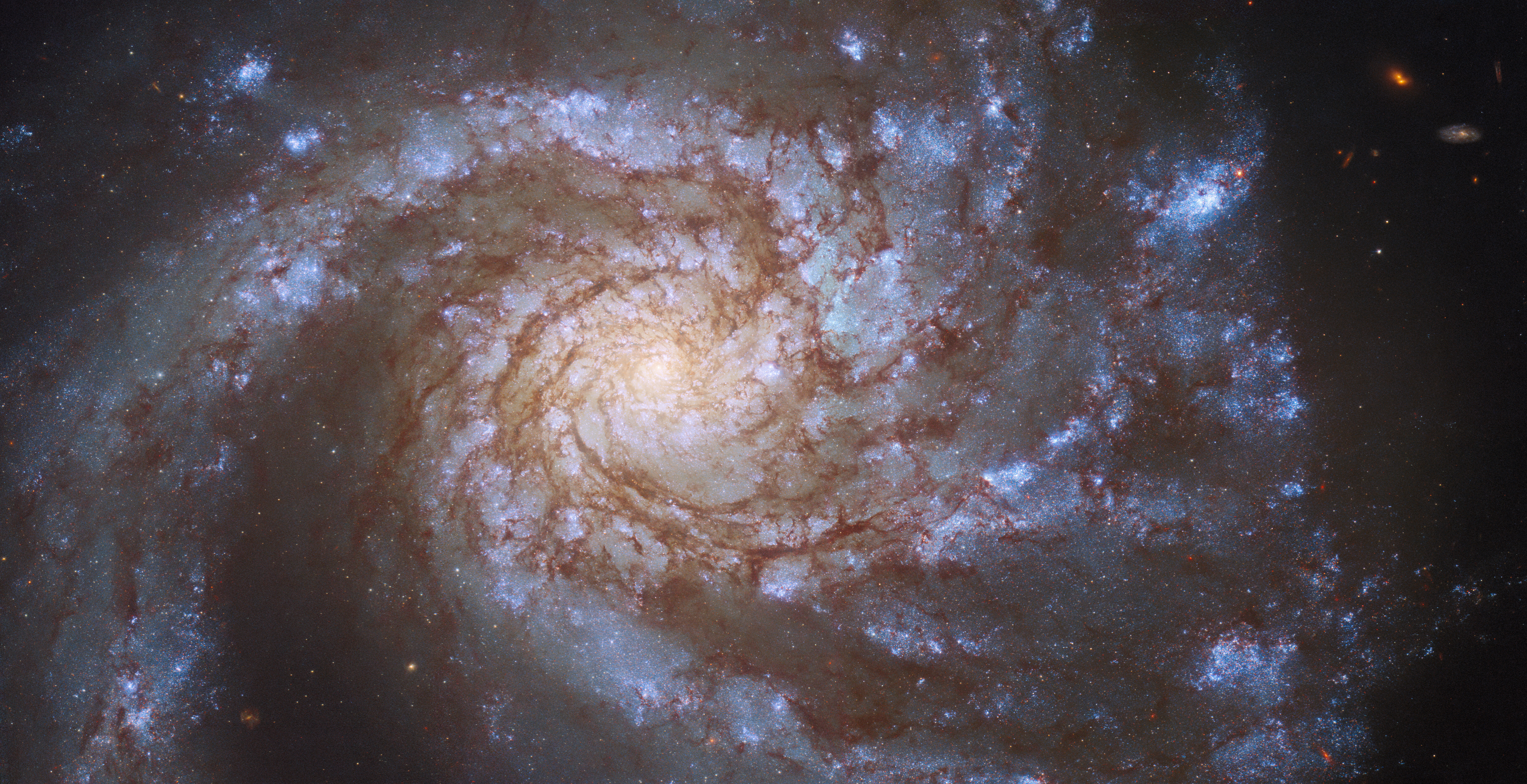 Фото сделано наса в день рождения. Спиральная Галактика ХАБЛ. Хаббл НАСА. Снимки с телескопа НАСА. Снимки Хаббла Галактики.