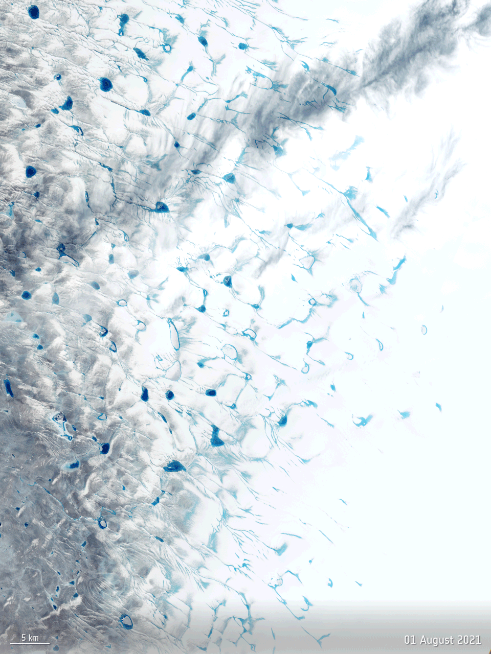 Meltwater and surface lakes on the Greenland ice sheet 