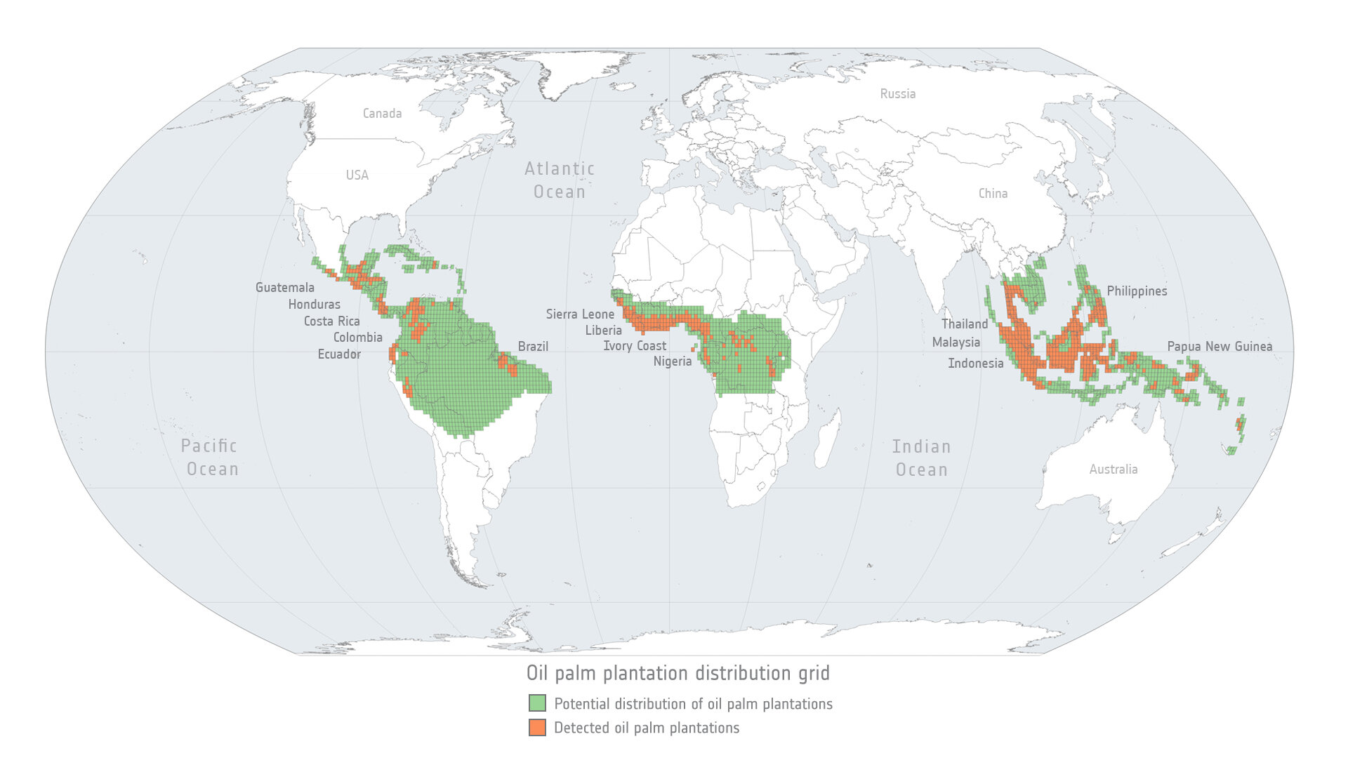 Oil palm plantations distribution