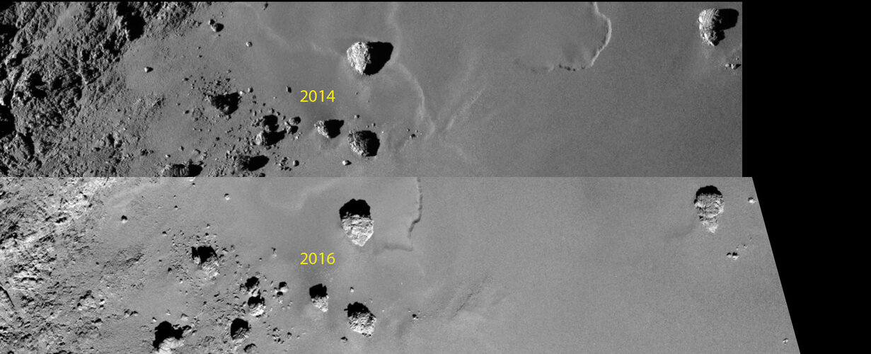 Rosetta Zoo comparison image