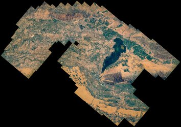 Vegetation fighting land degradation in Mongolia