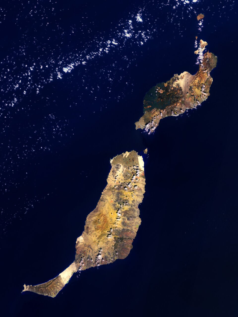 Fuerteventura e Lanzarote 