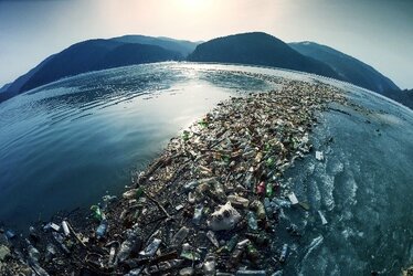 Marine plastic litter