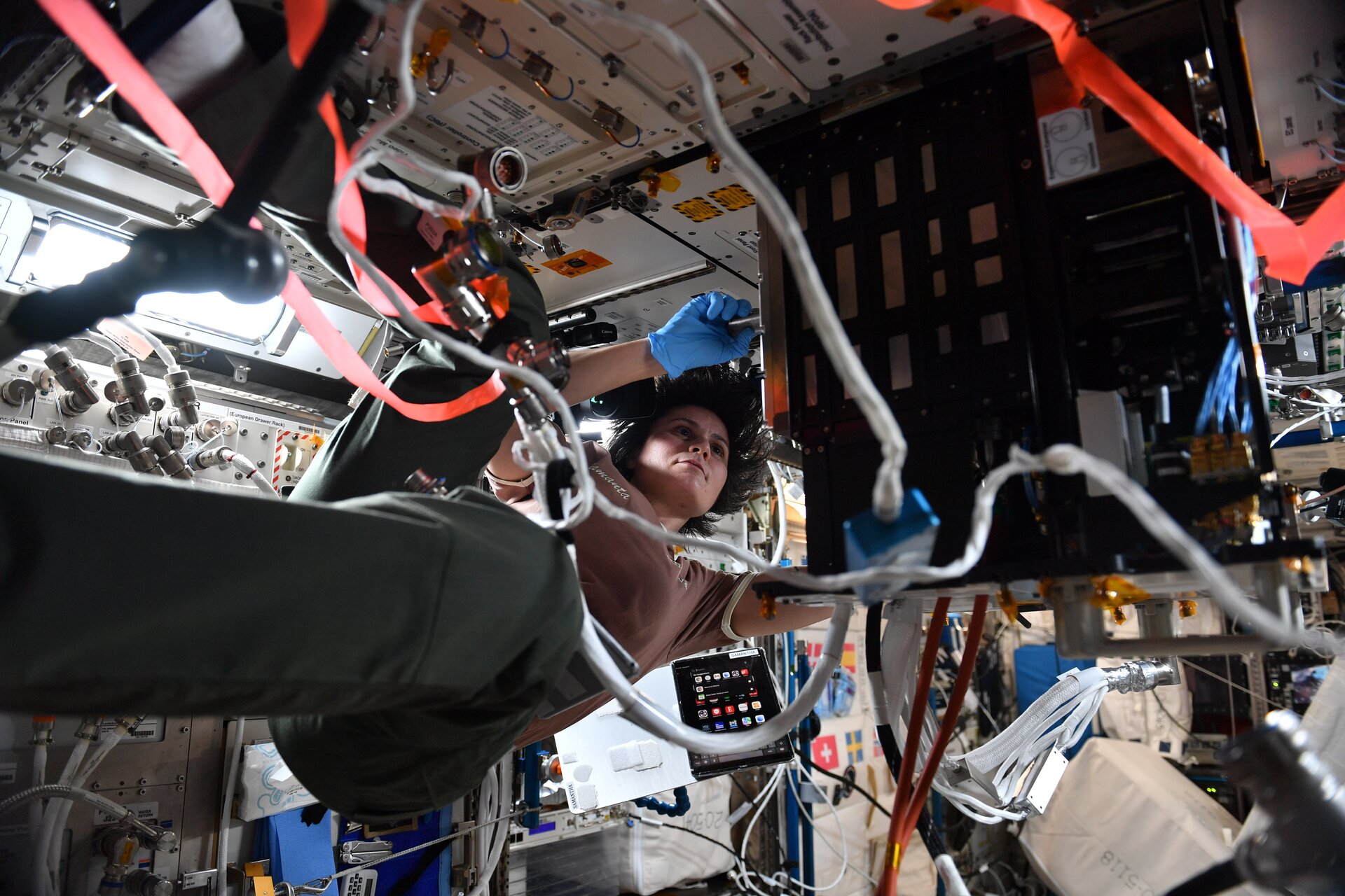 Working on the Fluid Science Laboratory