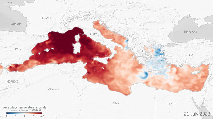 Sea surface temperature anomaly in July 2022