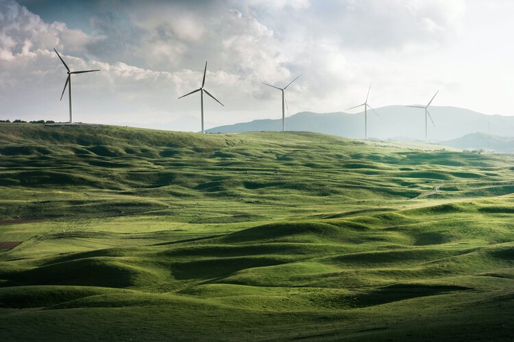 Green landscape with wind turbines