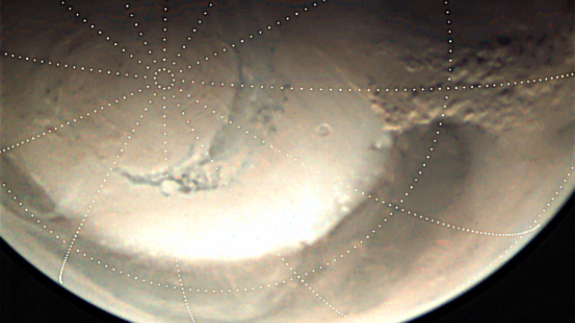 Dusty clouds at the martian North Pole