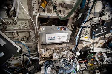 Artery in Microgravity experiment in the ICE Cubes Facility