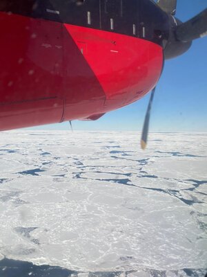 Sea ice in the Weddell Sea, Antarctica