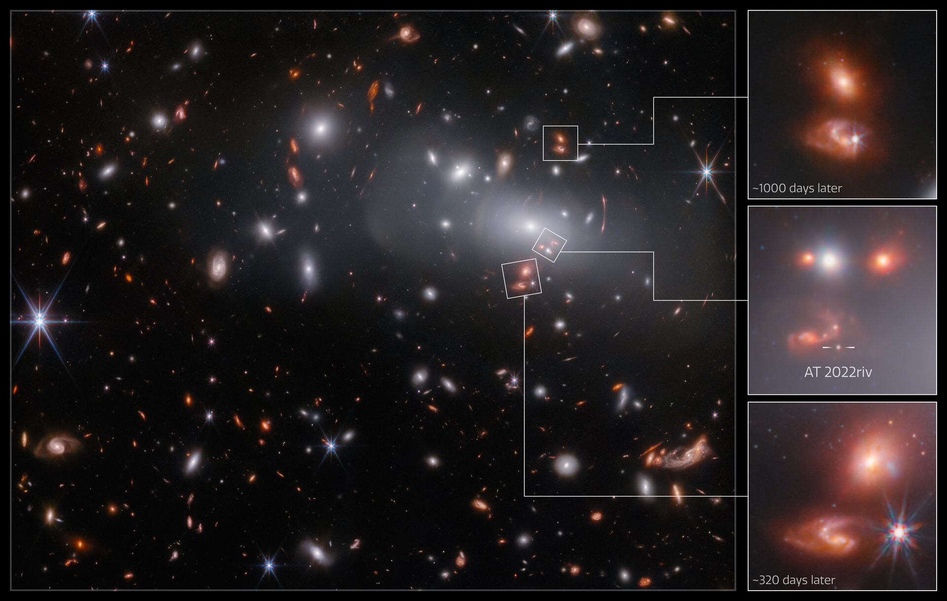 La imagen principal muestra una gran galaxia elíptica, rodeada por muchas galaxias pequeñas similares en un cúmulo, y estrellas y galaxias de fondo. Crédito: ESA/Webb, NASA & CSA, P. Kelly