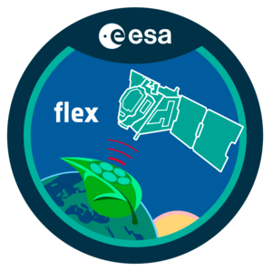 FLEX patch