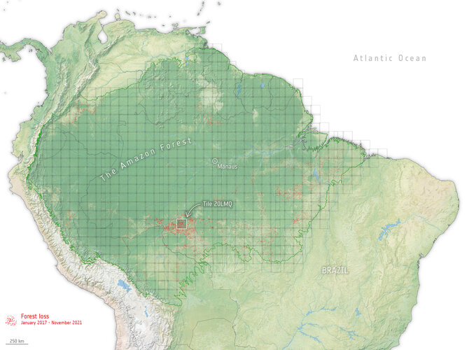 Forest loss across the Amazon
