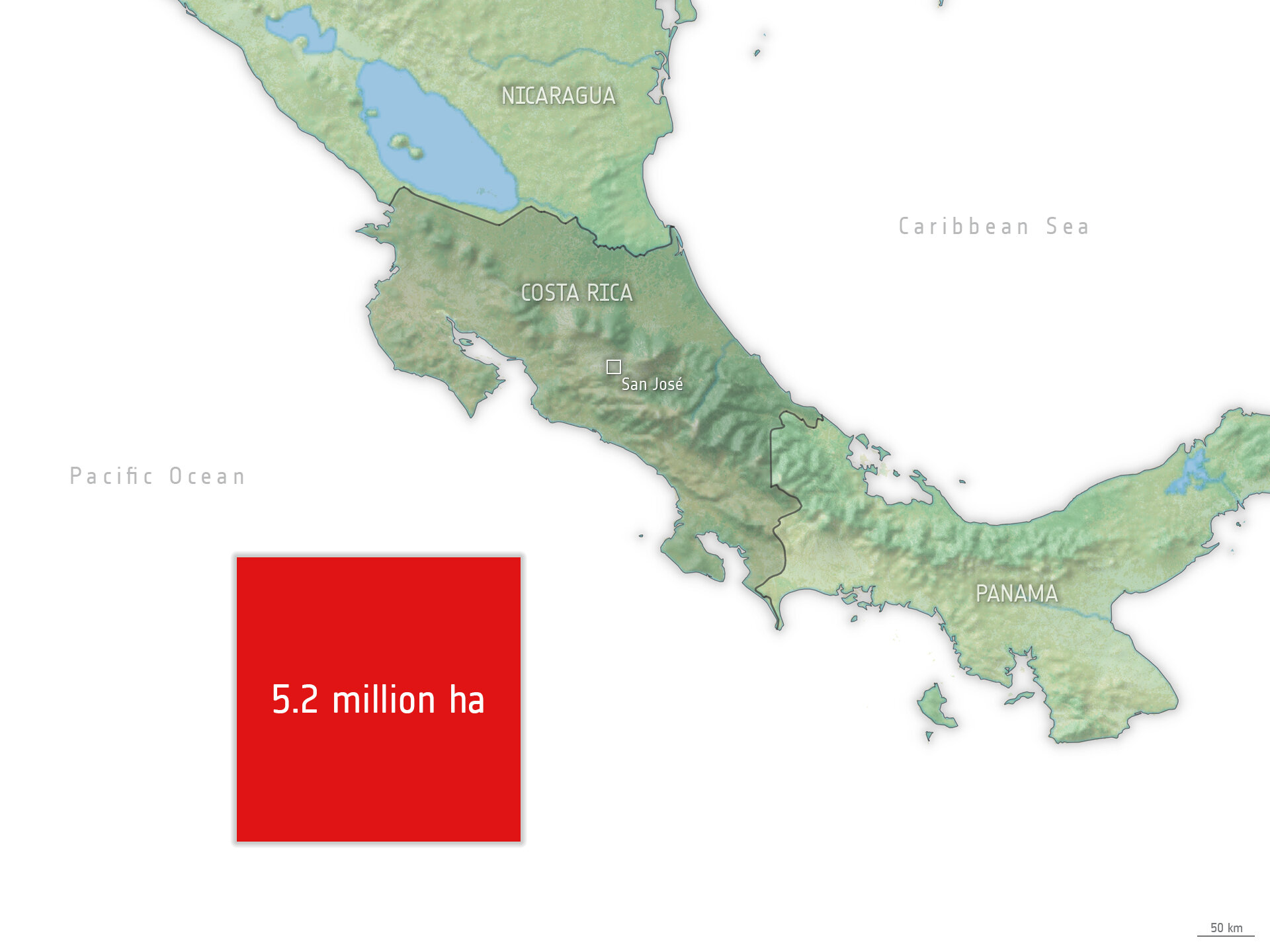 Forest loss size comparison