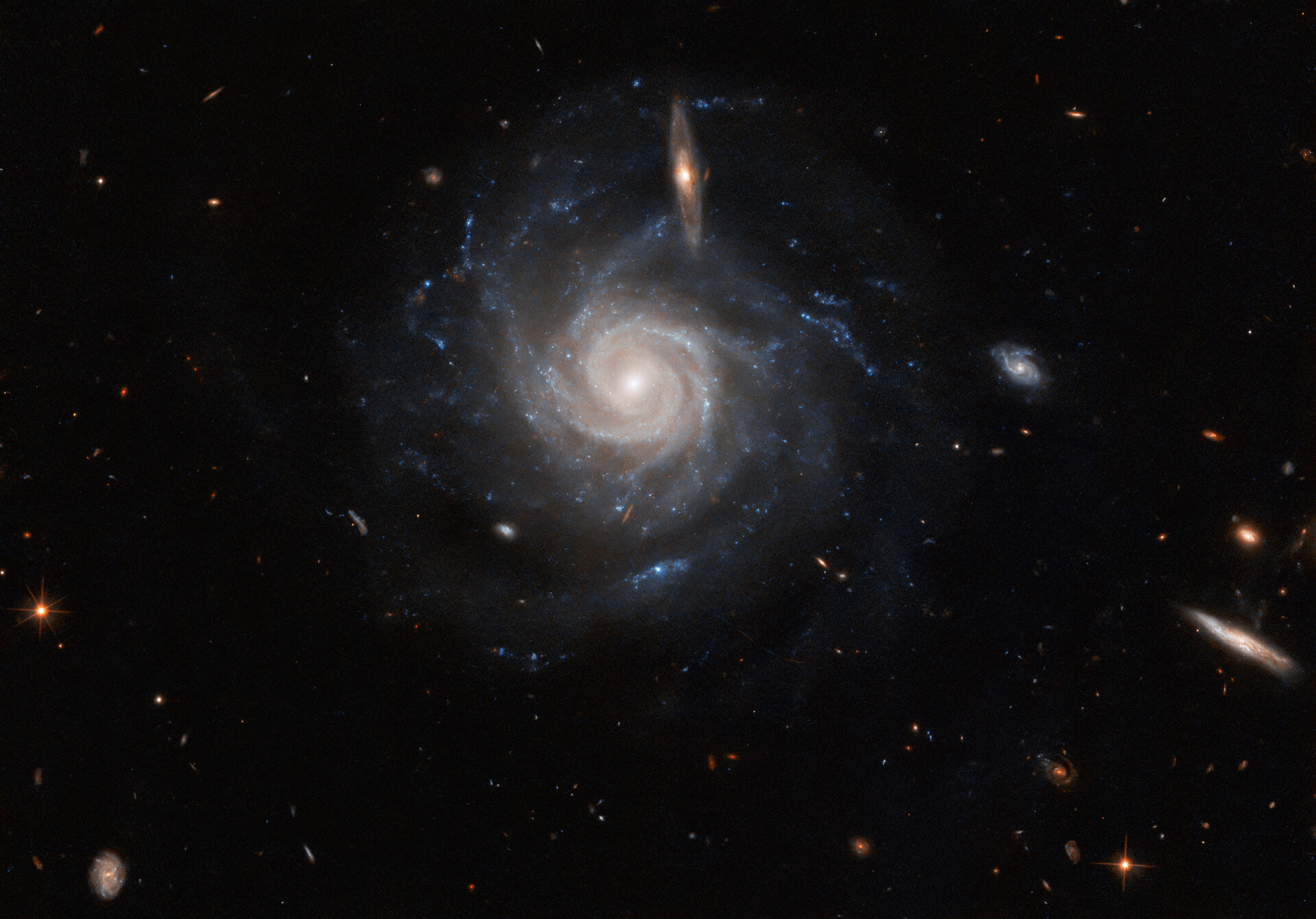 Una gran galaxia espiral. Tiene muchos brazos estrechos que están fuertemente torcidos en el centro, pero en los extremos apuntan en diferentes direcciones. Crédito: ESA/Hubble & NASA, C. Kilpatrick, R. J. Foley