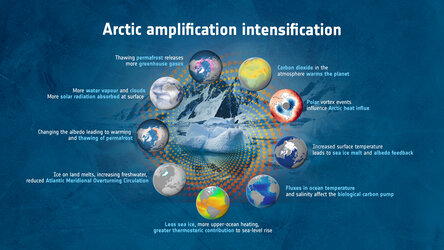 The Arctic is experiencing disproportionately higher temperature increases compared to the rest of the planet, triggering a series of cascading effects known as Arctic amplification. 