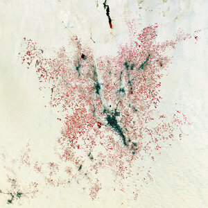 The Copernicus Sentinel-2 mission takes us over El Oued, in northeast Algeria, about 80 km west of the border with Tunisia.