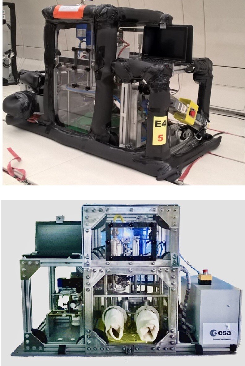 Frying carousel to film potatoes frying in oil in microgravity