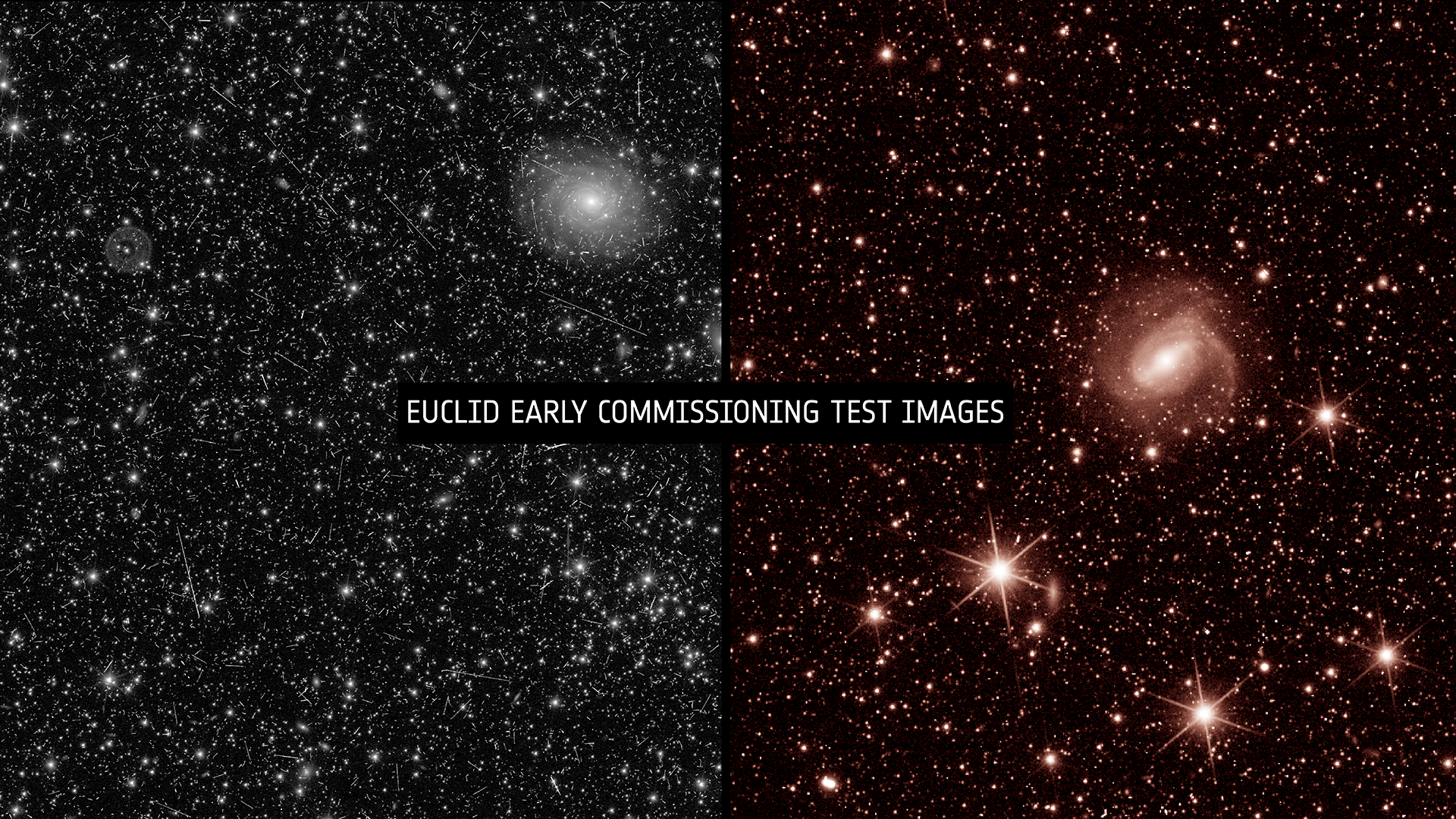 Euclid early commissioning test images