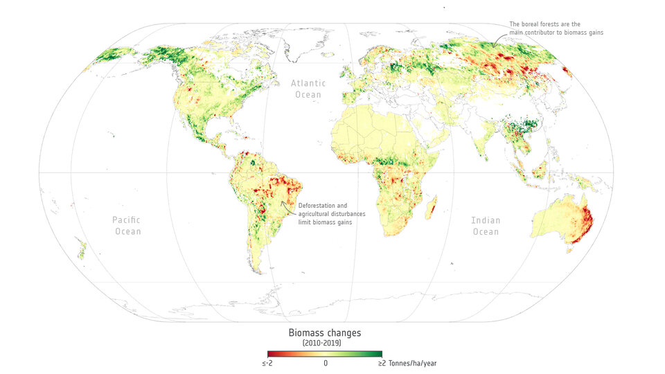 Αλλαγή στη βιομάζα 2010–2019