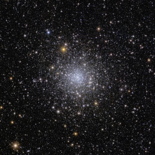 Euclid’s view of globular cluster NGC 6397