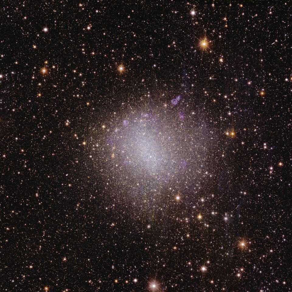 La galaxie irrégulière NGC 6822 vue par Euclid