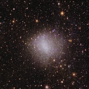 Euclid’s view of irregular galaxy NGC 6822