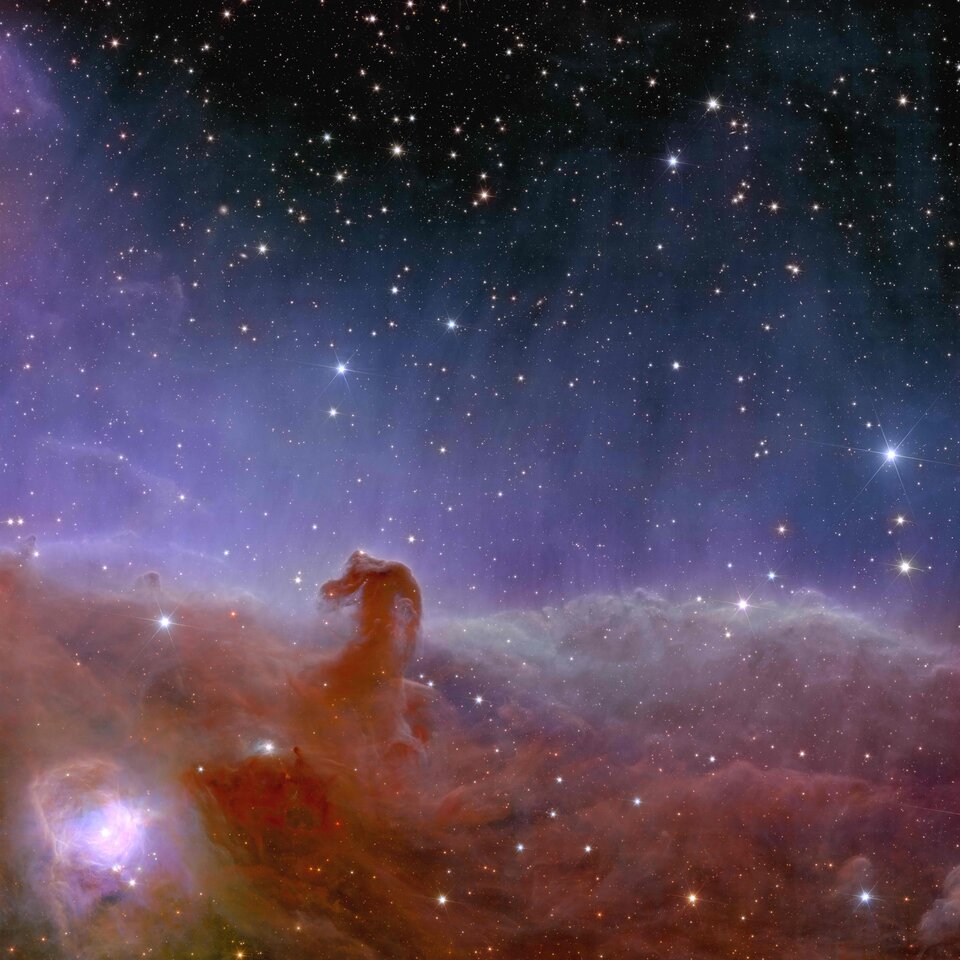 La Nebulosa Testa di Cavallo vista da Euclid 