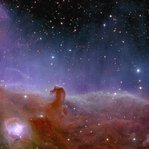 Euclid’s view of the Horsehead Nebula