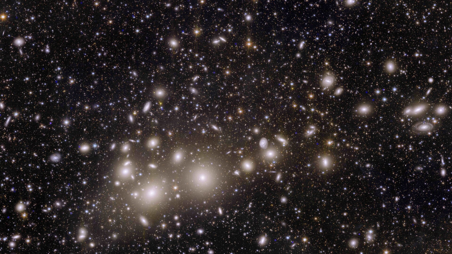 Euclid’s view of the Perseus cluster of galaxies