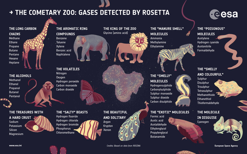 Gases detected at Rosetta's Comet