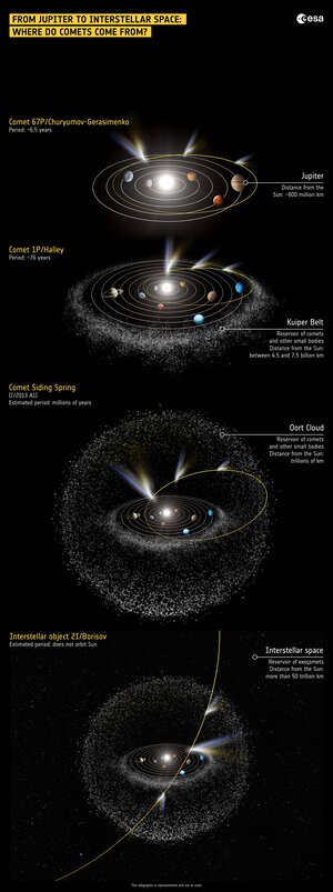 Where do comets come from?