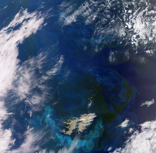 This wide view from the Copernicus Sentinel-3 mission captures an algae bloom around the Falkland Islands in the South Atlantic Ocean.