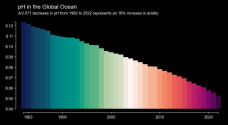 Global ocean acidification increase