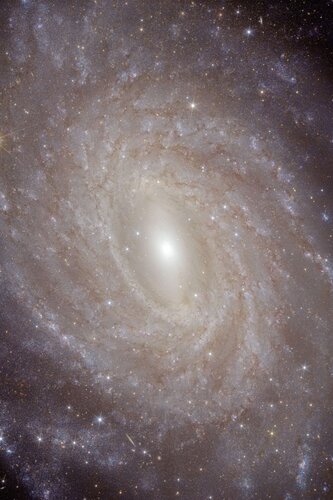 Closer Euclid view of NGC 6744’s centre