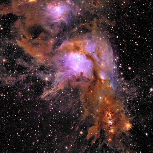 Euclid’s new image of star-forming region Messier 78 