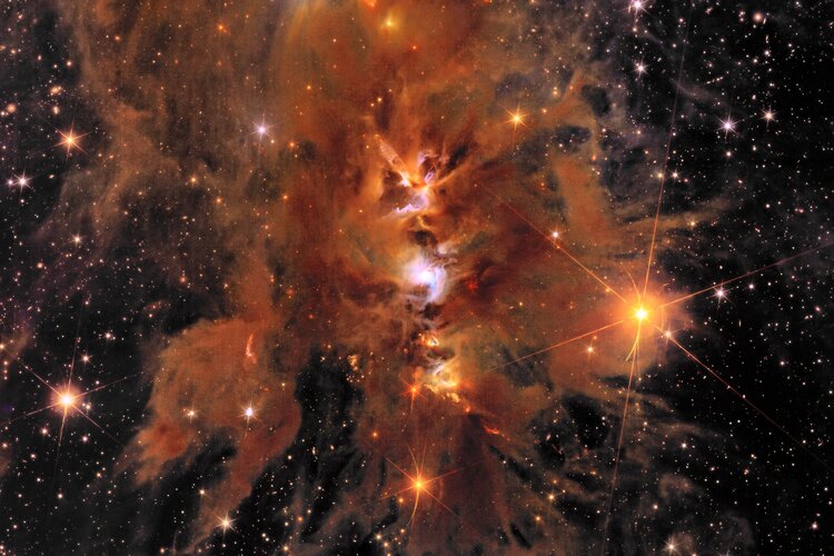 Euclid’s view of stellar nursery Messier 78 - Close-up 1 
