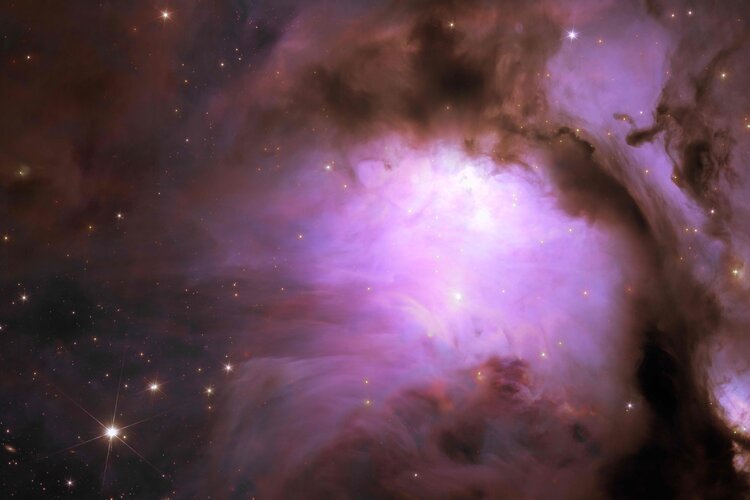 Euclid’s view of stellar nursery Messier 78 - Close-up 2