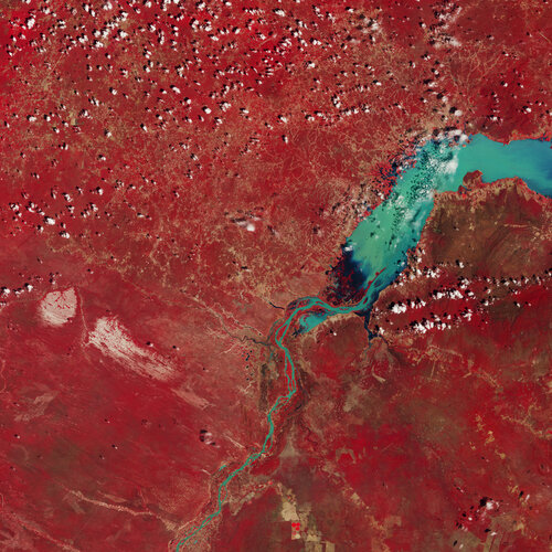 This Copernicus Sentinel-2 image highlights part of the São Francisco River in eastern Brazil.