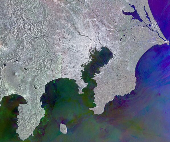 This Copernicus Sentinel-1 radar image shows Tokyo and its metropolitan area, the largest urban agglomeration in the world.