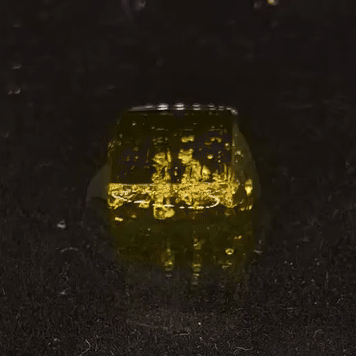 Timelapse of hydrogel swelling
